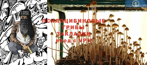молекула духа Балахна