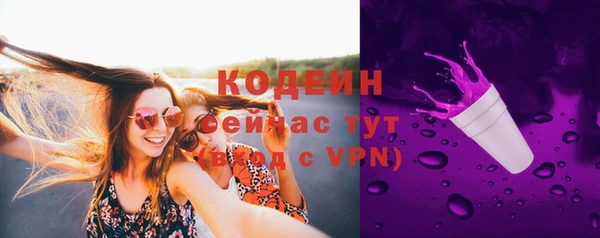 молекула духа Балахна