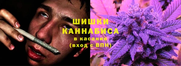 спайс Баксан