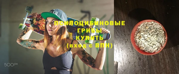 спайс Баксан