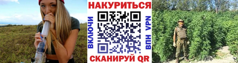 Конопля тримм Бирюч